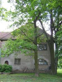 Толокнов   Юрий