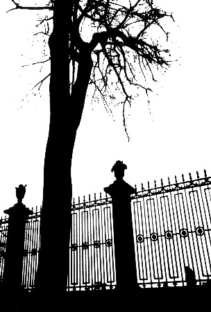 russia_sw_22 russia_sw_22