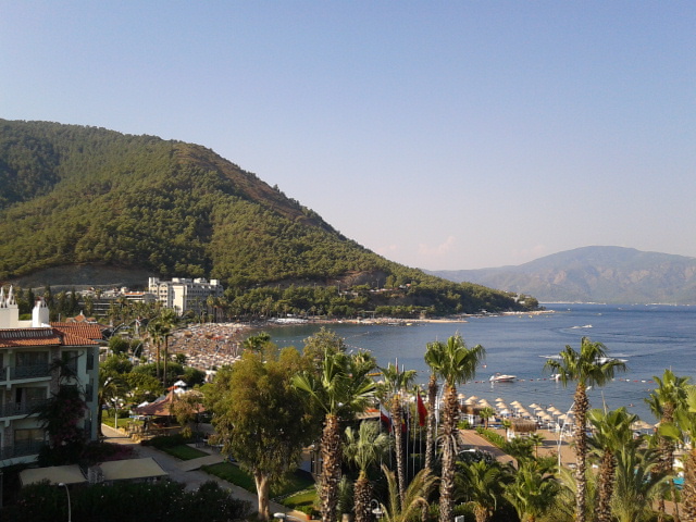 taqpl.26_174203 taqpl.26_174203