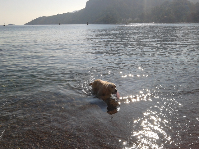 tt0220121126_104917 tt0220121126_104917