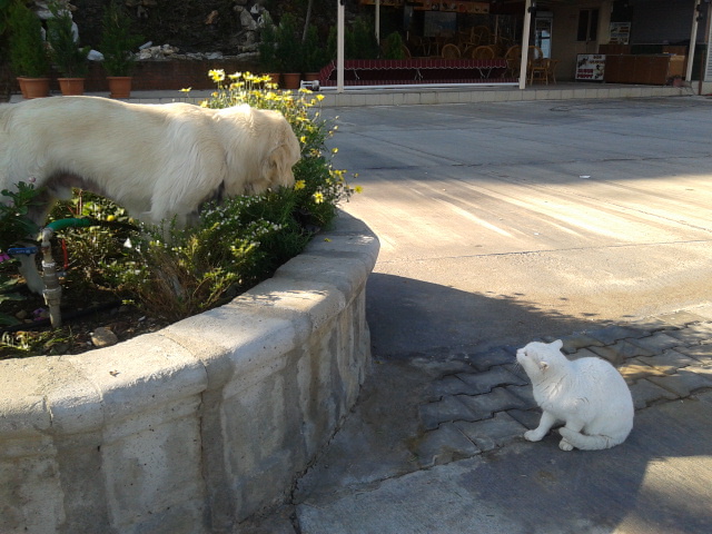 tt0320121126_102217 tt0320121126_102217