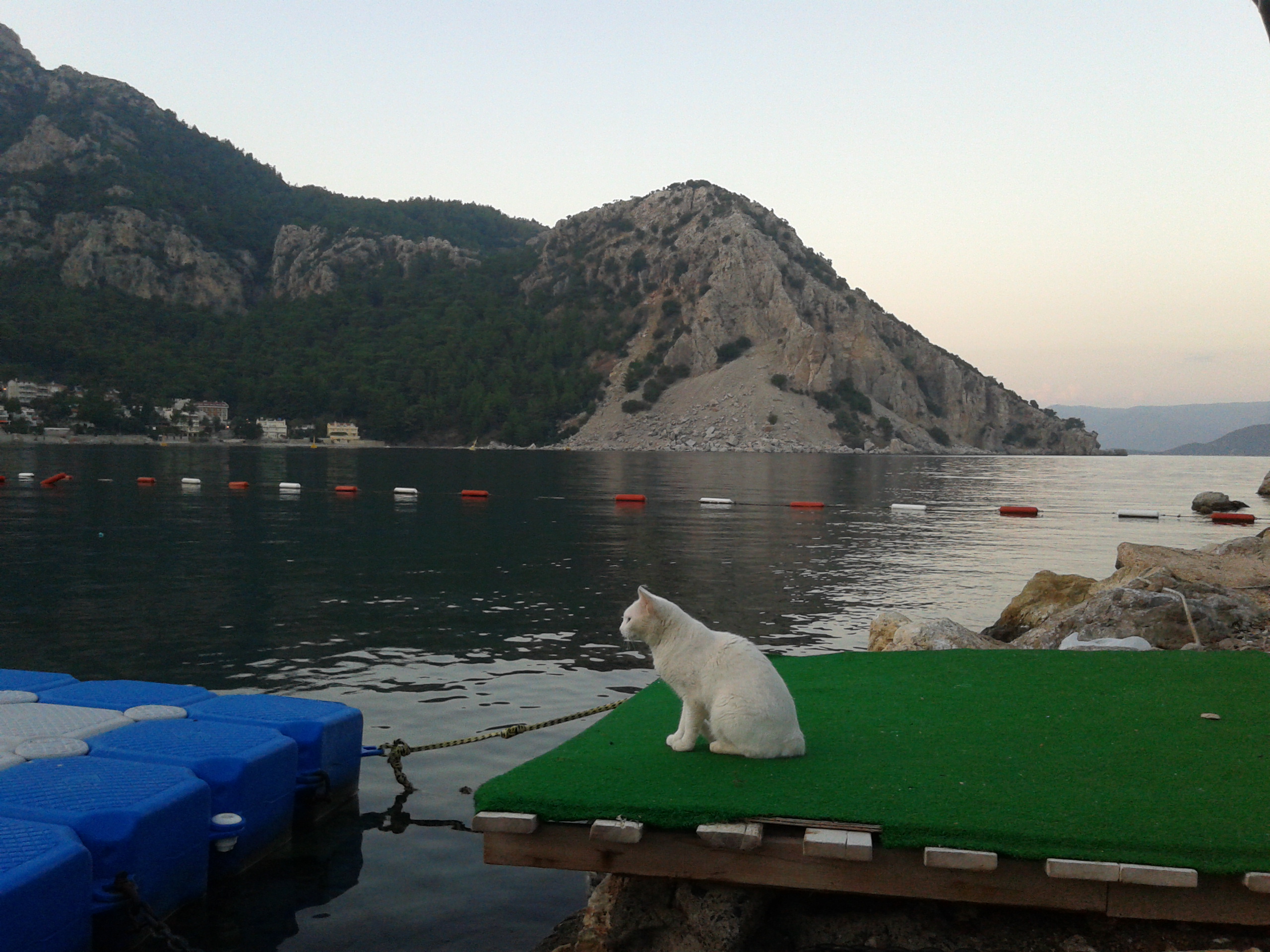 ttm0012.1103_165603 ttm0012.1103_165603