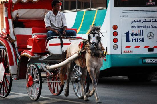 aqaba01_22.jpg aqaba01_22.jpg