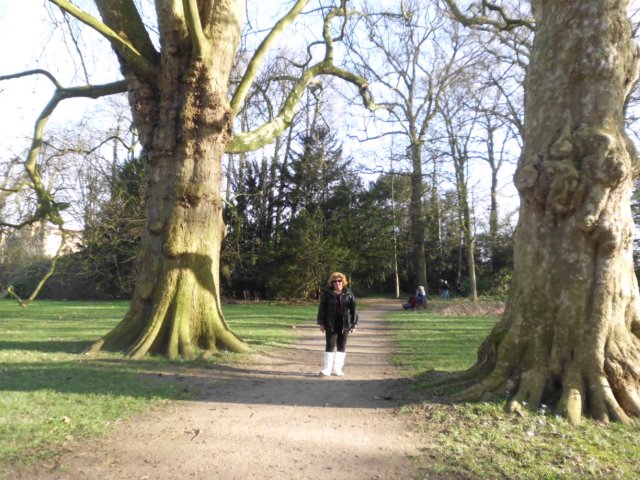 lm-parkcimg0537 lm-parkcimg0537