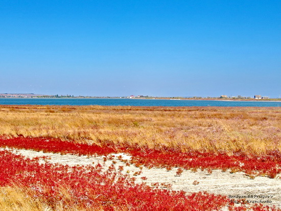 ._ffflamingo_0008_a ._ffflamingo_0008_a