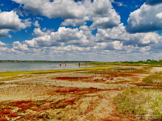 ._ffflamingo_0009_b ._ffflamingo_0009_b