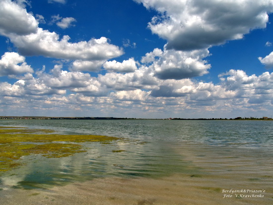 ._ffflamingo_0011 ._ffflamingo_0011