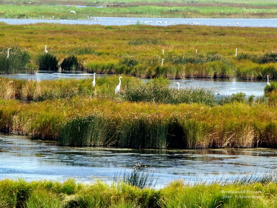 ._ffflamingo_0014 ._ffflamingo_0014