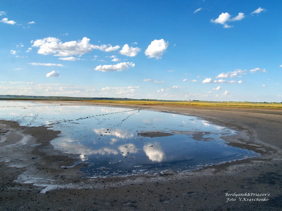 ._ffflamingo_0018 ._ffflamingo_0018