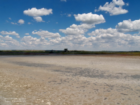 ._ffflamingo_0020 ._ffflamingo_0020