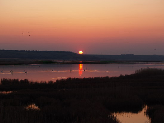 1837_04__lebediy_kravchenko 1837_04__lebediy_kravchenko