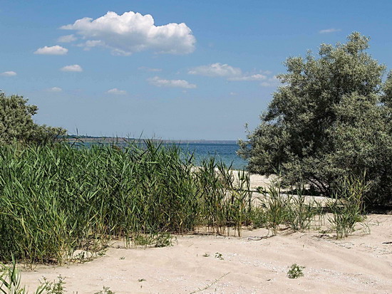 1837____lukomor_5 1837____lukomor_5