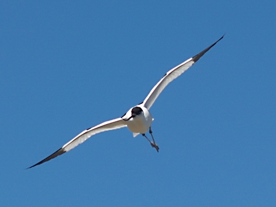 liman_dolgij_009_berdynsk_kravchenko_v.jpg liman_dolgij_009_berdynsk_kravchenko_v.jpg