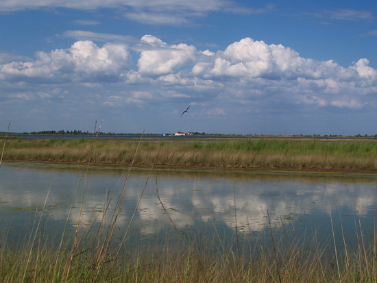 liman_dolgij_01_berdynsk_kravchenko_v.jpg liman_dolgij_01_berdynsk_kravchenko_v.jpg