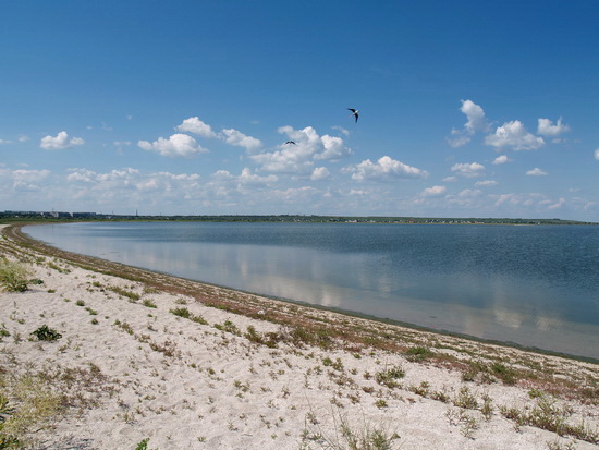 liman_dolgij_02_berdynsk_kravchenko_v.jpg liman_dolgij_02_berdynsk_kravchenko_v.jpg