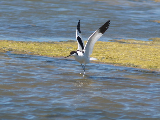 liman_dolgij_031_berdynsk_kravchenko_v.jpg liman_dolgij_031_berdynsk_kravchenko_v.jpg