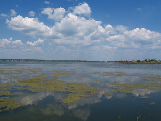 liman_dolgij_032_berdynsk_kravchenko_v.jpg liman_dolgij_032_berdynsk_kravchenko_v.jpg