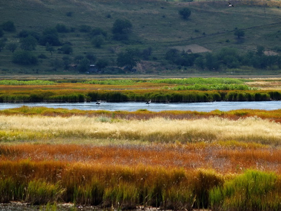 liman_dolgij_034_berdynsk_kravchenko_v.jpg liman_dolgij_034_berdynsk_kravchenko_v.jpg