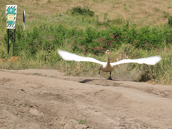 liman_dolgij_17__berdynsk_kravchenko_v.jpg liman_dolgij_17__berdynsk_kravchenko_v.jpg