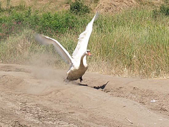 liman_dolgij_18__berdynsk_kravchenko_v.jpg liman_dolgij_18__berdynsk_kravchenko_v.jpg