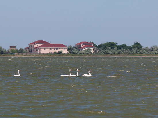 liman_dolgij_27_berdynsk_kravchenko_v.jpg liman_dolgij_27_berdynsk_kravchenko_v.jpg