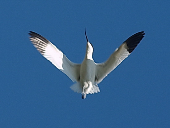 liman_dolgij_42_berdynsk_kravchenko_v.jpg liman_dolgij_42_berdynsk_kravchenko_v.jpg