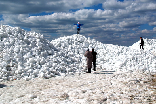 toros__________000008