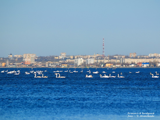 ukraine_europa_ukraine_0055