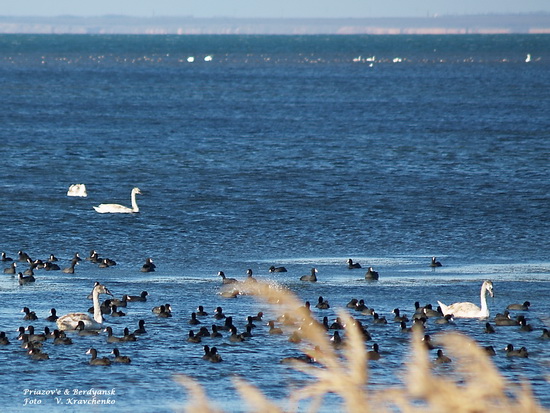 ukraine_europa_ukraine_0058
