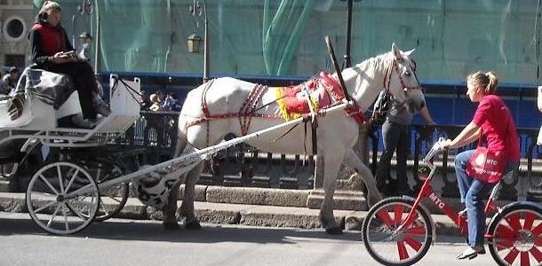 losh-i-velo-big_7 losh-i-velo-big_7